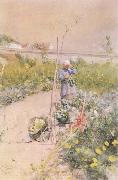 Carl Larsson In the Kitchen Garden oil painting reproduction